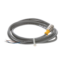 Load image into Gallery viewer, TURCK RK 4T-2