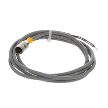 Load image into Gallery viewer, TURCK RK 4T-2