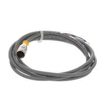 Load image into Gallery viewer, TURCK RK 4T-2