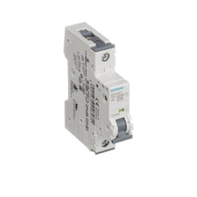 Load image into Gallery viewer, Siemens 5SY6106-7