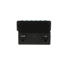 Load image into Gallery viewer, Panduit FCX-24-10Y