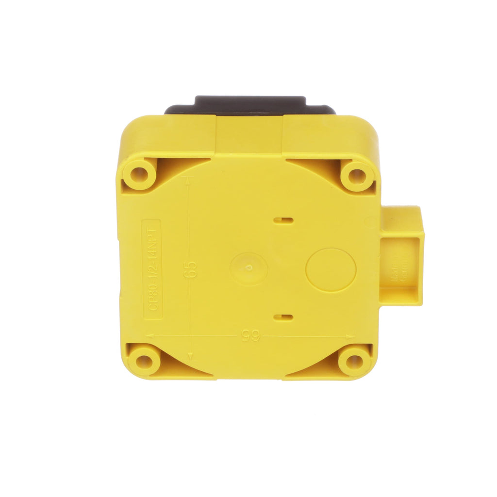 TURCK NI50-CP80-FZ3X2/S10