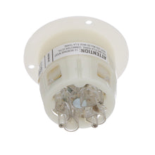 Load image into Gallery viewer, Hubbell Wiring Device-Kellems HBL2736