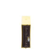 Load image into Gallery viewer, Opto 22 IAC24A