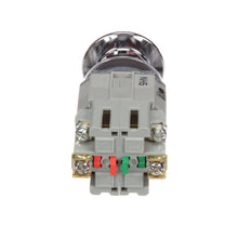 Load image into Gallery viewer, IDEC Corporation AYLD39911DN-R-120V
