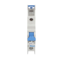 Load image into Gallery viewer, Altech Corp 1CR6L