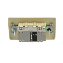 Load image into Gallery viewer, Hubbell Wiring Device-Kellems GFRST20I