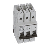 Carlo Gavazzi, Inc. GMB633PC5